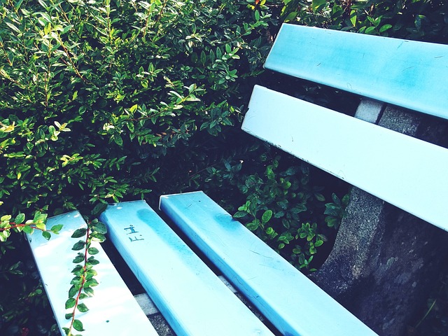 官方：U15东亚锦标赛将于12月18日在福建漳州开赛