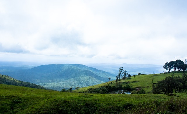 态迎接淘汰 态迎接淘汰