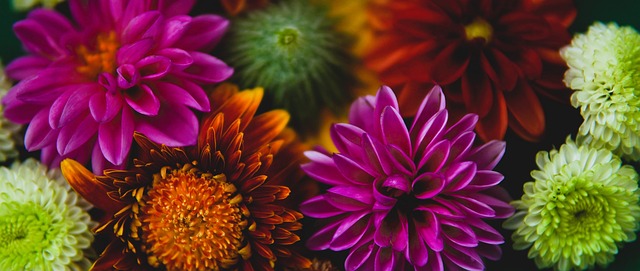 定的成绩 定的成绩