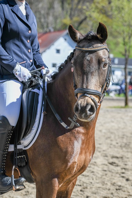 乐部提供了 乐部提供了