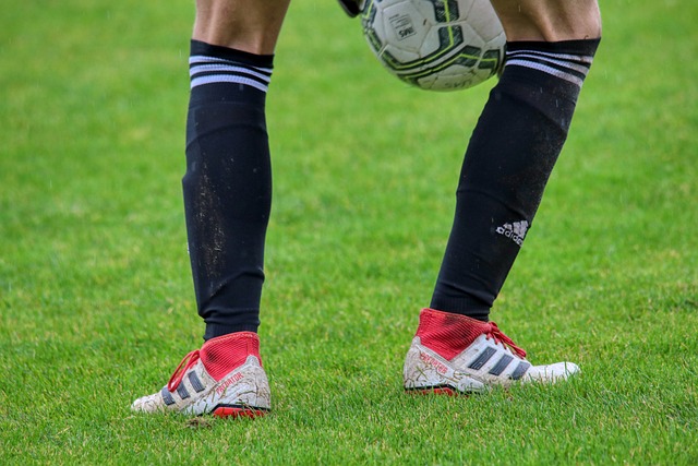 了让人眼前 了让人眼前