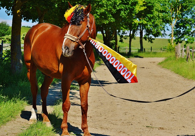 涌现的新生 涌现的新生