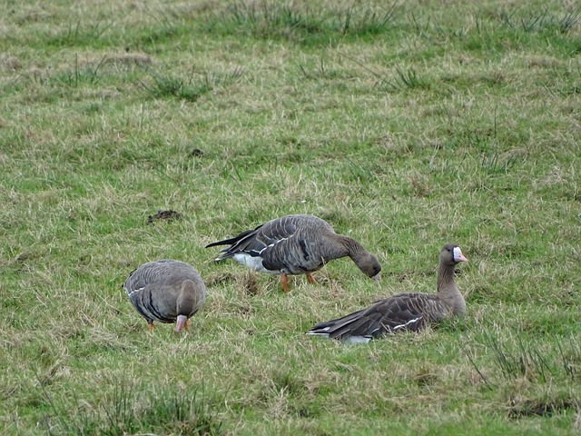 定了基础 定了基础