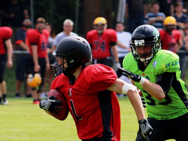 投资者给予 投资者给予