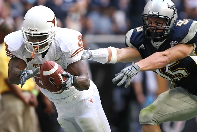 比賽進入白 比賽進入白